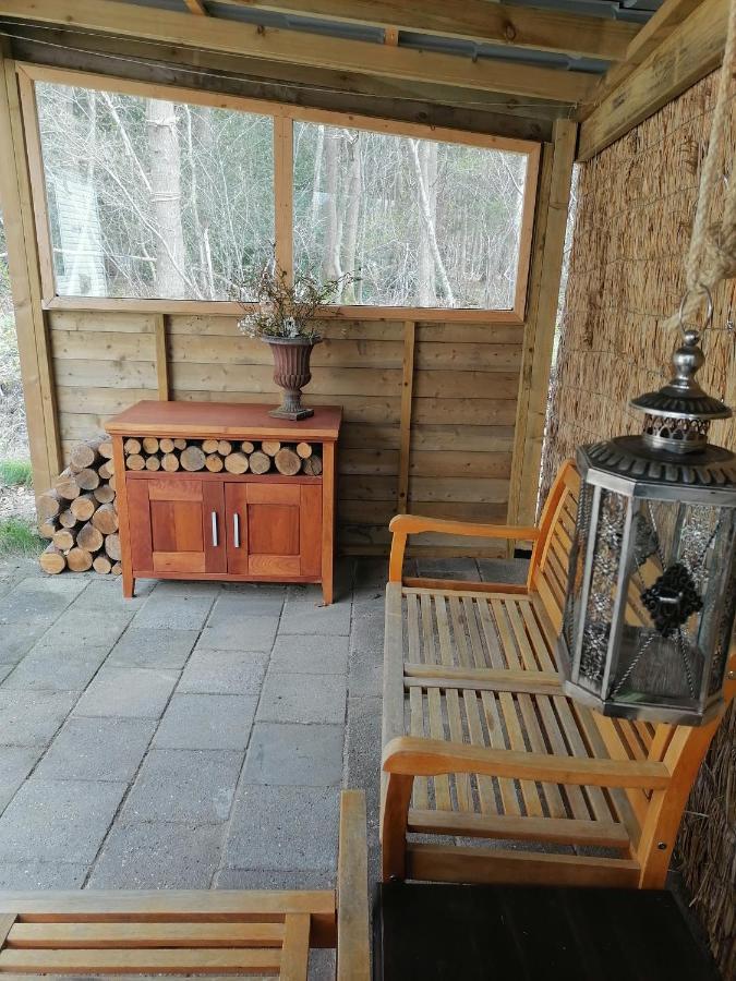 Blue Bird chalet met overdekt terras, bos en bosbad Havelte Buitenkant foto